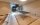 Pool-Billard-Tisch CARAT LIGHT